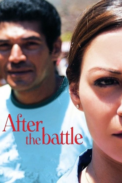 Movie poster for After the Battle (2012)