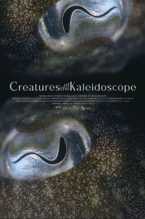 Movie poster for Creatures of the Kaleidoscope (2023)