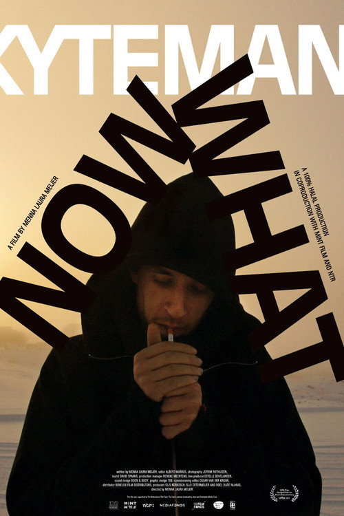 Movie poster for Kyteman - Now What? (2011)