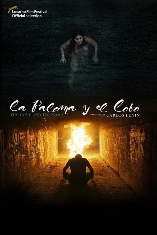 Movie poster for The Dove and the Wolf (2019)