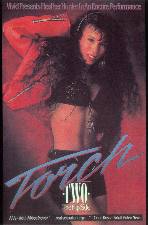 Movie poster for Torch 2 (1991)