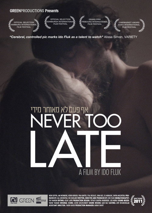 Movie poster for Never Too Late (2011)