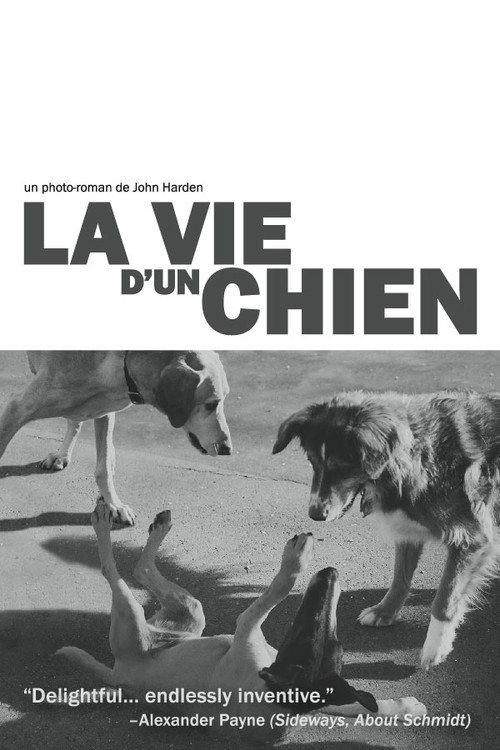 Movie poster for The Life of a Dog (2005)