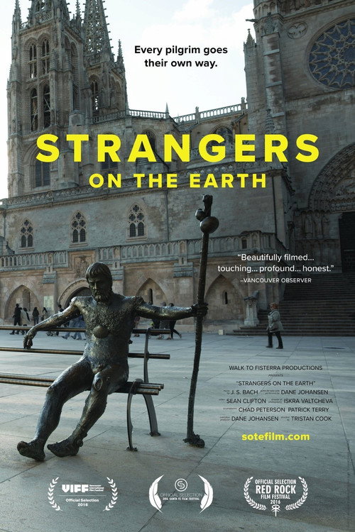 Movie poster for Strangers On The Earth (2017)