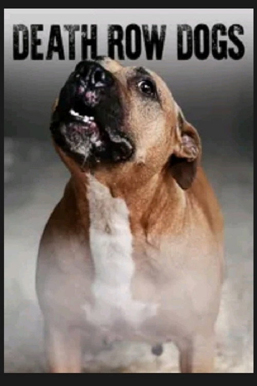 Movie poster for Death Row Dogs (2012)