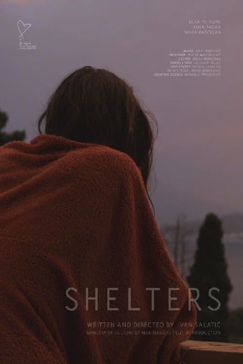 Movie poster for Shelters (2014)