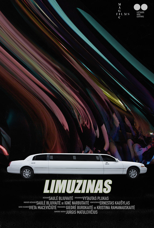 Movie poster for Limousine (2020)