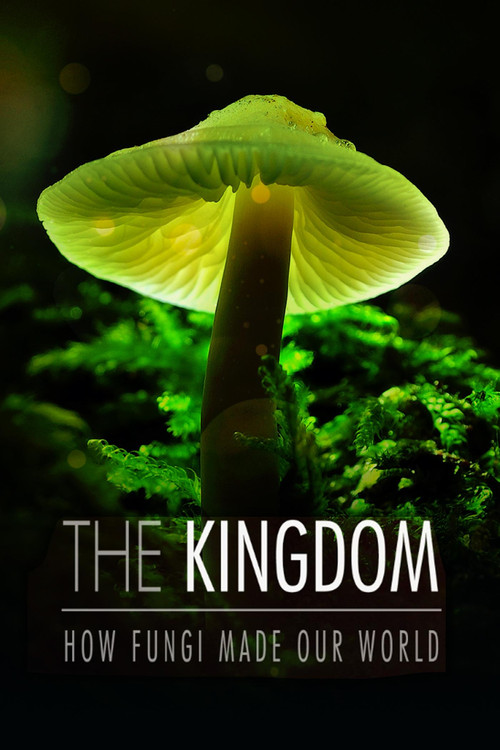 Movie poster for The Kingdom: How Fungi Made Our World (2018)