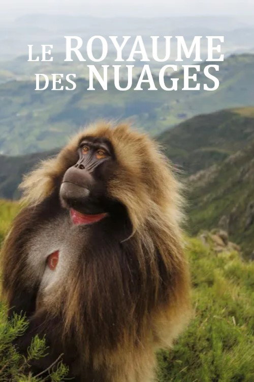 Movie poster for Le royaume des nuages (2026)