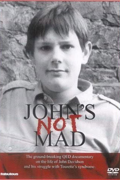 Movie poster for John's Not Mad (1989)