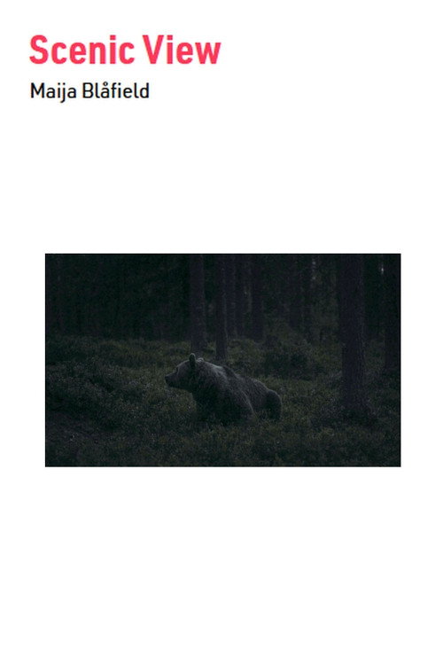 Movie poster for Scenic View (2023)