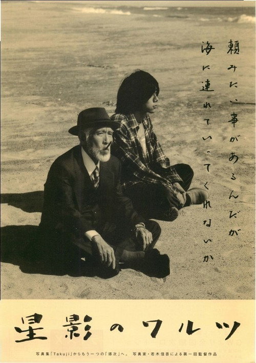 Movie poster for Waltz in Starlight (2007)