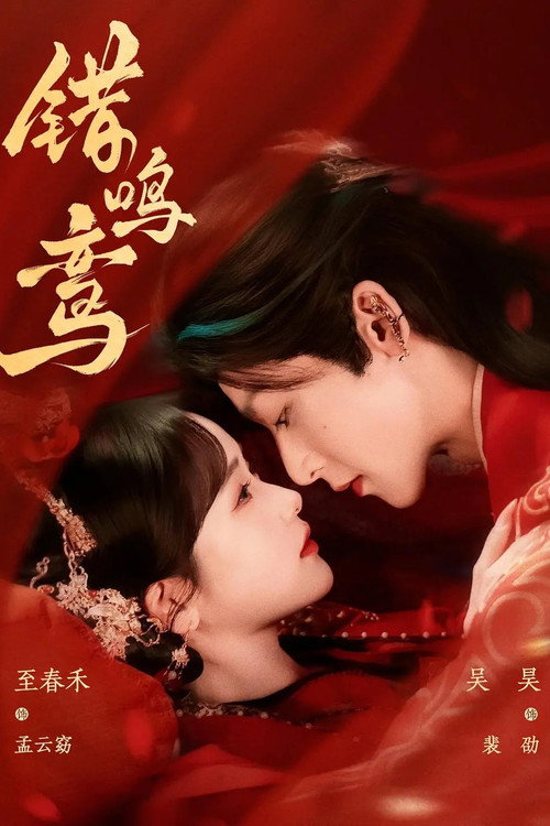 Series poster for 错鸣鸾 (2025)
