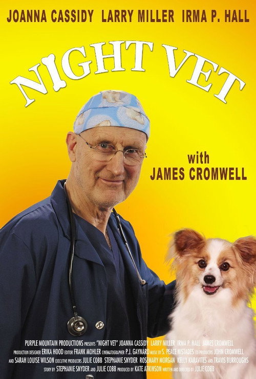 Movie poster for Night Vet