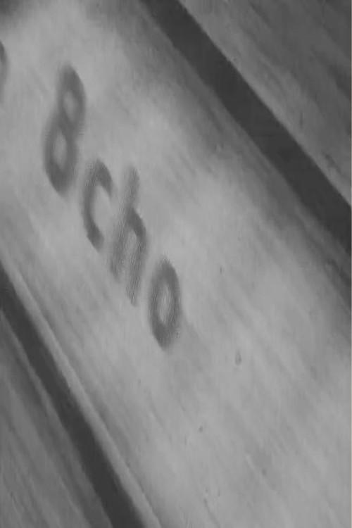 Movie poster for 8cho (2006)
