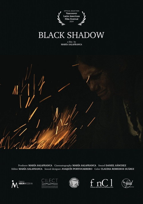 Movie poster for Black Shadow (2024)