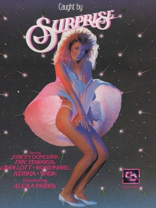 Movie poster for Caught by Surprise (1987)