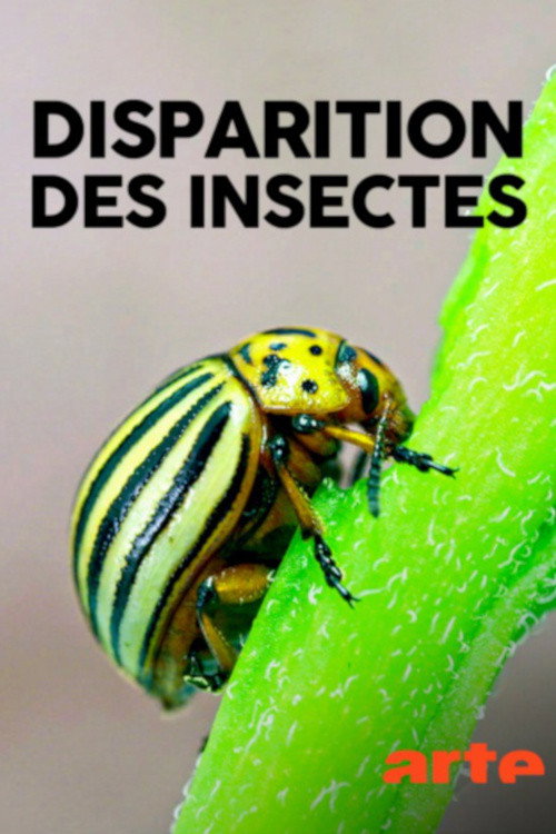Movie poster for Das große Insektensterben (2018)