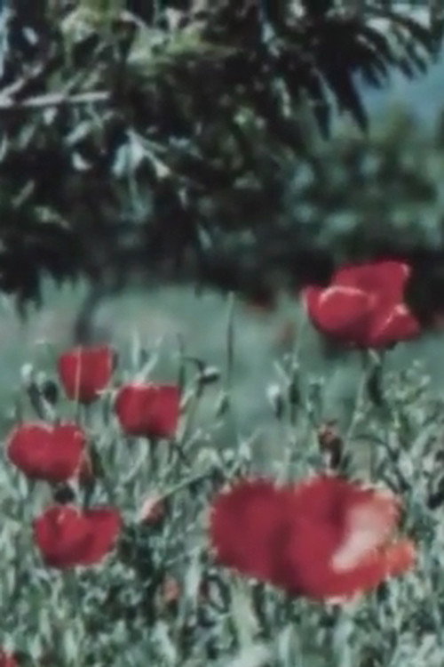 Movie poster for The Art of Tajikistan (1970)