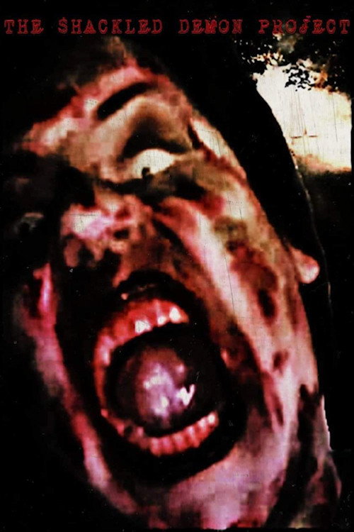Movie poster for The Shackled Demon Project (2022)