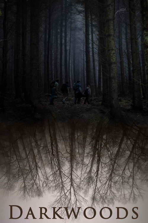 Movie poster for Darkwoods