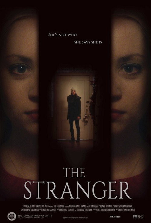 Movie poster for The Stranger (2017)