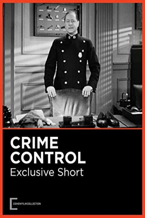 Movie poster for Crime Control (1941)