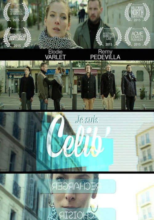 Movie poster for Je suis célib (2015)