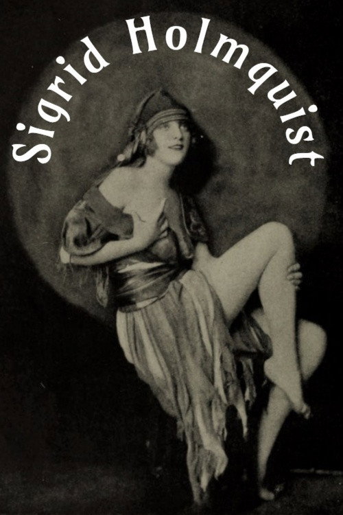 Movie poster for Sigrid Holmquist (2010)