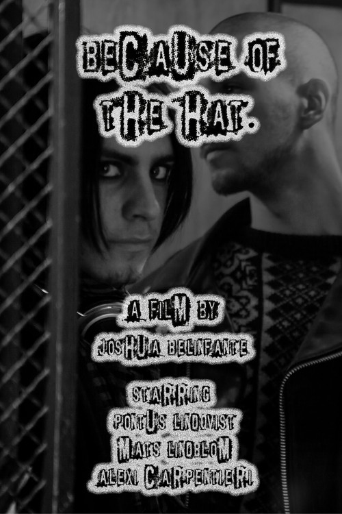 Movie poster for Because of the Hat (2012)