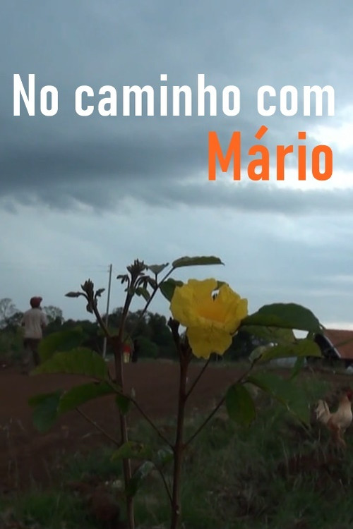 Movie poster for No Caminho com Mário (2014)