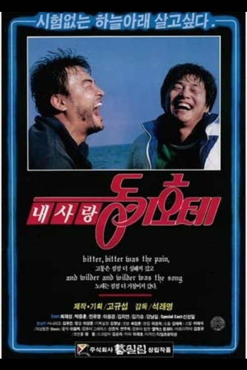 Movie poster for My Love, Don Quixote (1989)