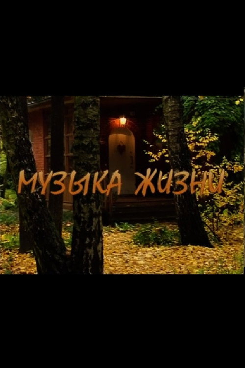 Movie poster for The Music of Life (2009)