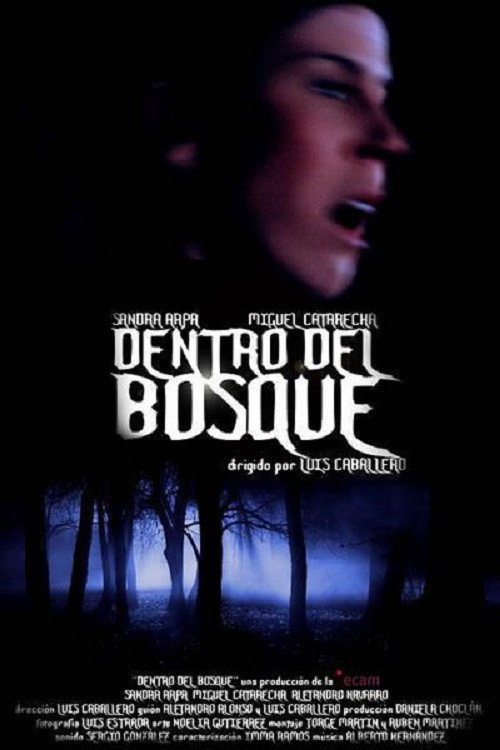Movie poster for Dentro del bosque (2010)