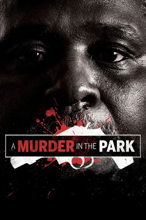 Movie poster for A Murder in the Park (2015)
