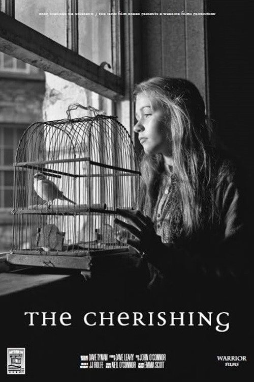 Movie poster for The Cherishing (2016)