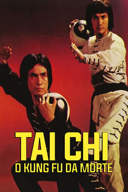 Movie poster for Tai Chi Shadow Boxing (1979)