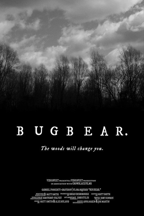 Movie poster for Bugbear (2021)