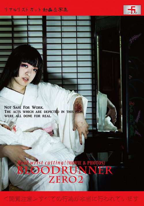 Movie poster for Bloodrunner Zero 2 (2018)