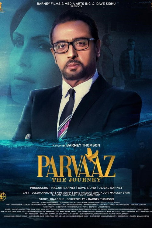 Movie poster for Parvaaz: The Journey (2021)