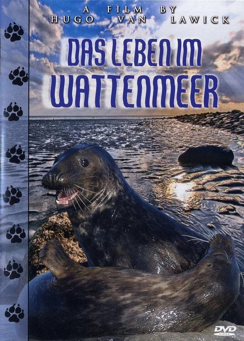 Movie poster for Life in Ebb and Flow (2002)
