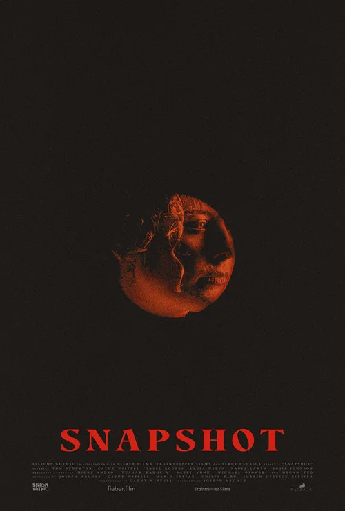 Movie poster for Snapshot