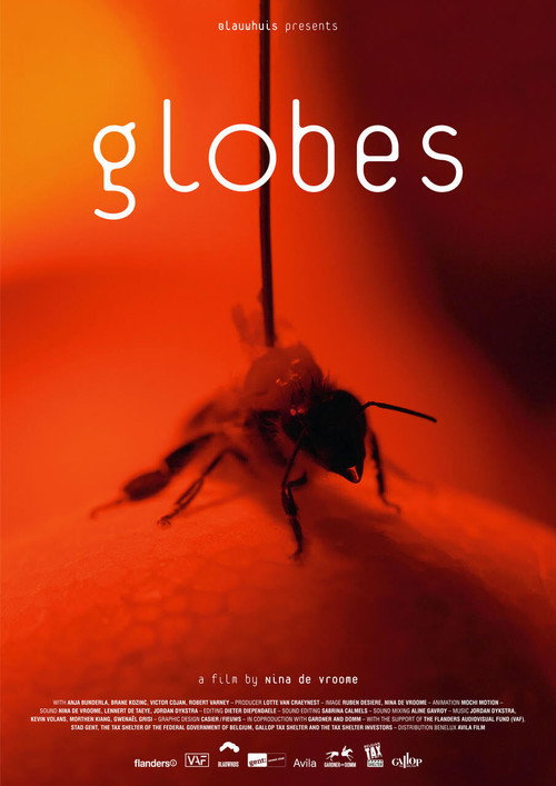 Movie poster for Globes (2021)