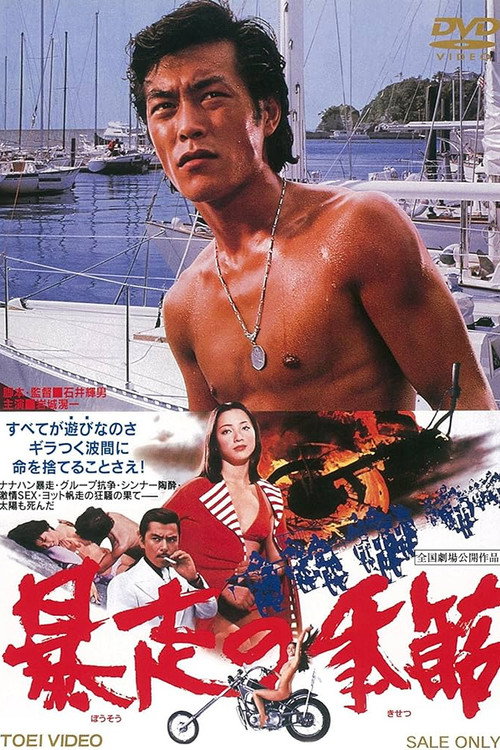 Movie poster for The Runaway Season (1976)