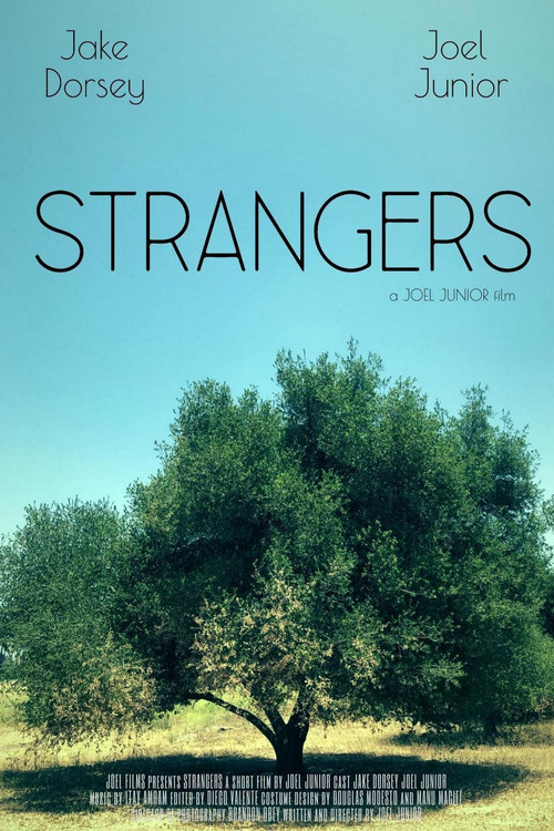 Movie poster for Strangers (2021)