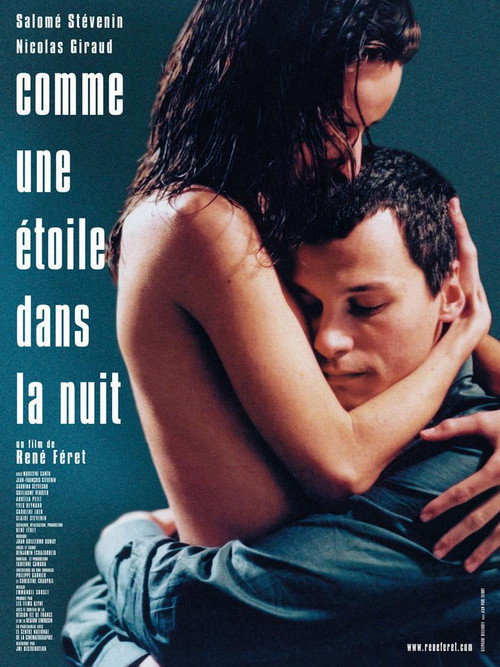 Movie poster for Like a Star Shining in the Night (2008)
