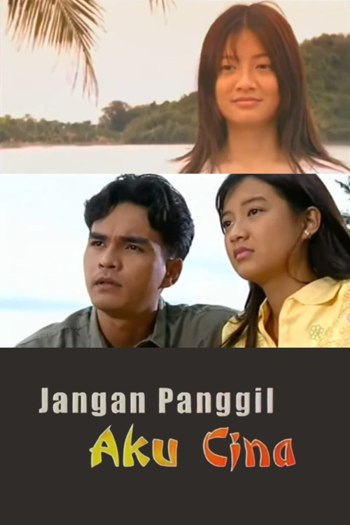 Movie poster for Jangan Panggil Aku Cina (2002)