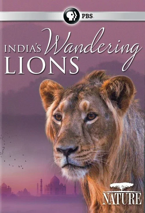 Movie poster for India's Wandering Lions (2016)