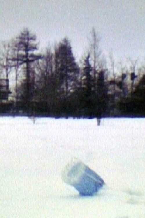 Movie poster for Air Sleeve (1980)