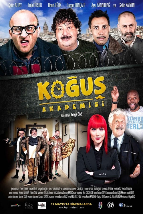 Movie poster for Dorm Academy (2013)